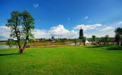 ��|���@���D���у������Ј��ɑ]�����ˆ᣿���D�ģ�