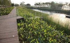 ˮƽ�����˹����Ԕ����B