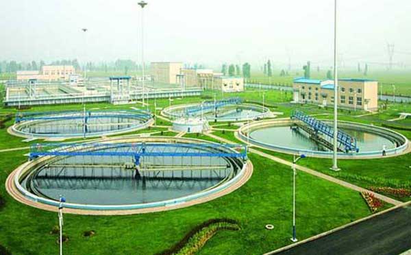 �V�����I�@�^