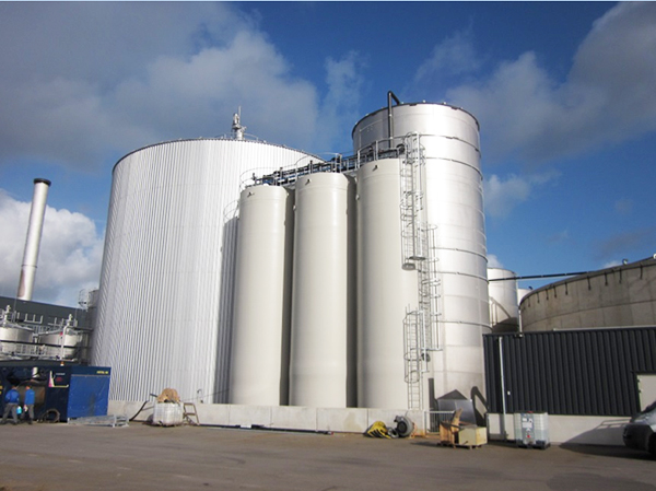 ��������̎�����g