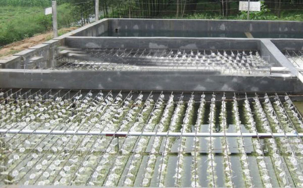 ���׏Uˮ̎�������O��aƷ����